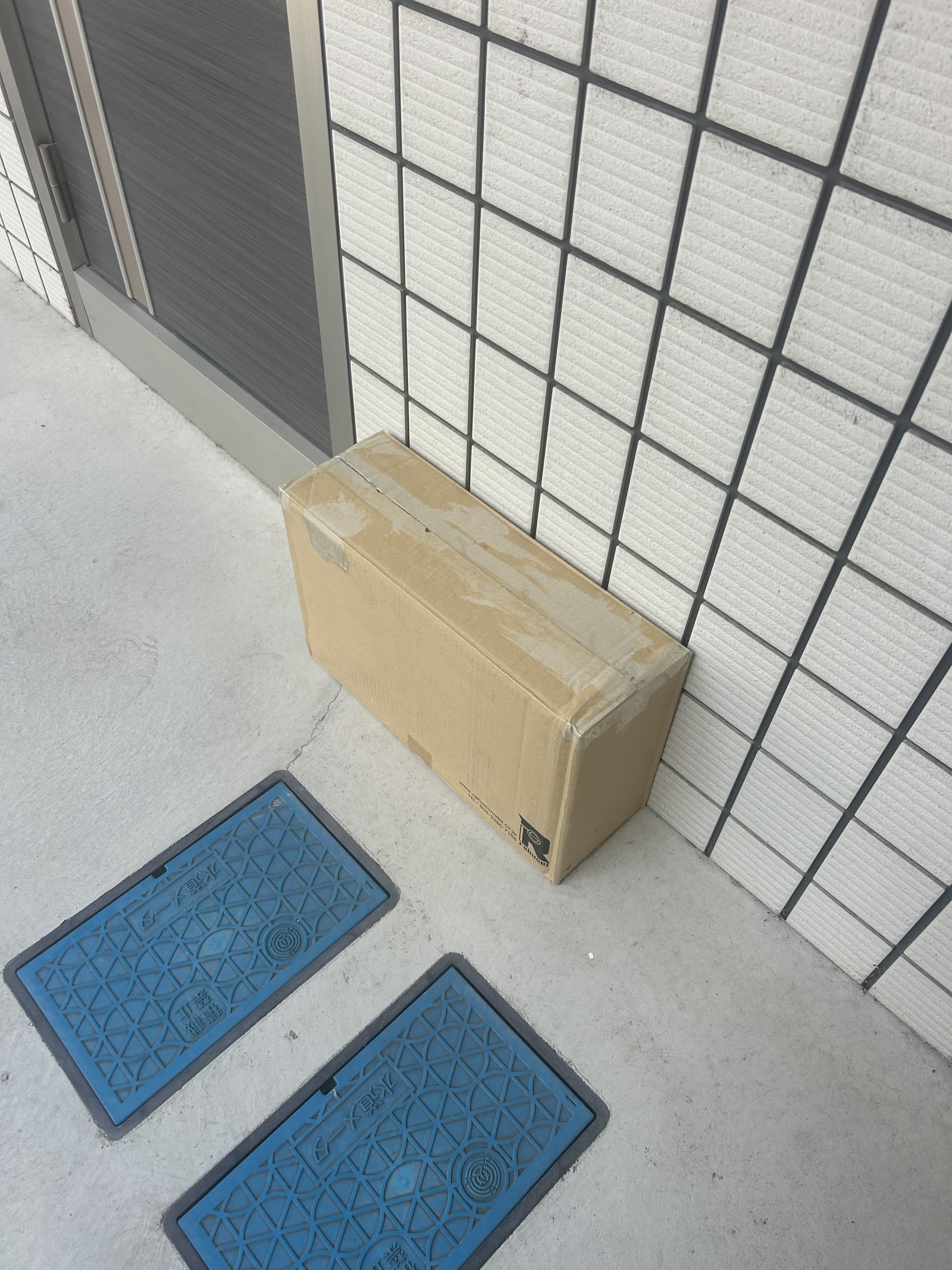 玄関先に届いたタミヤ タイレルP34 ITEM 49154の配送箱